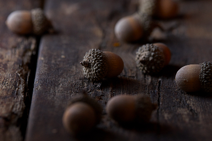 CCTV5现场直播精彩赛事尽在直播吧