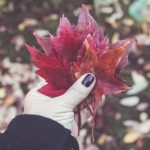 CCTV5直播车全程直击赛事现场精彩瞬间 71dj16f6