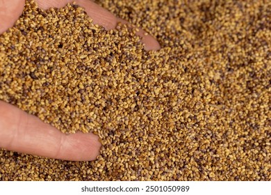 通博娱乐娱乐的安全性与用户体验全面解析