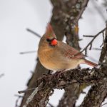 CCTV5超清在线直播免费观看体育赛事 hc2ia