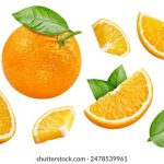 CCTV5手机在线视频直播高清观看体育赛事 rddgzy