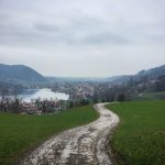 速博平台用户体验评测:使用过程中的便捷与挑战 scf7v