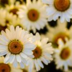 《直播吧TV版》高清体育赛事直播首选平台 bg57qo5uy